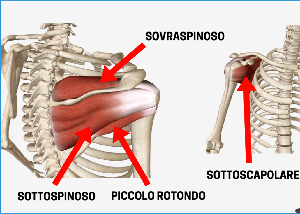 Il Primo E Quello Di Spalla LESIONE ALLA SPALLA - MB Therapy